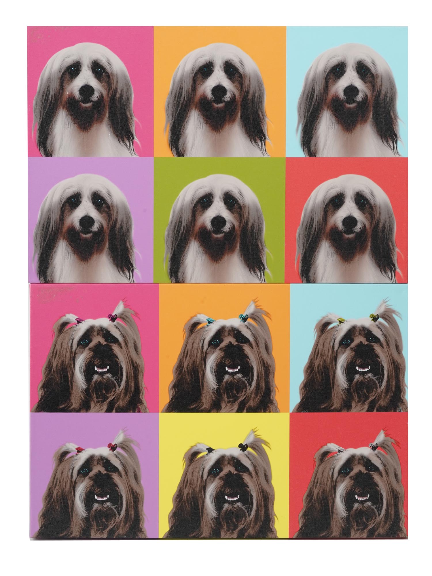 VINTAGE WALL PRINTS WITH DOGS AFTER ANDY WARHOL